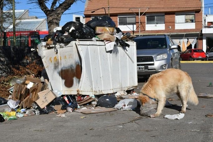 Basura acumulada (Foto: Diario Jornada).