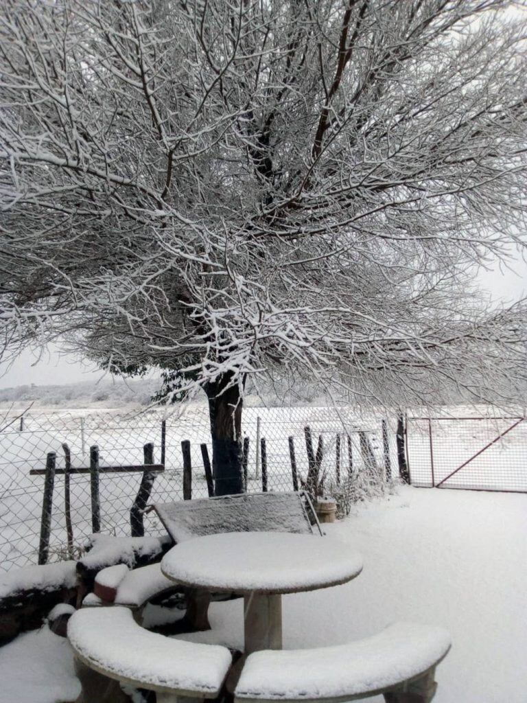 El norte cordobés en San Pedro y Tulumba se vio sorprendido por una intensa nevada este jueves.