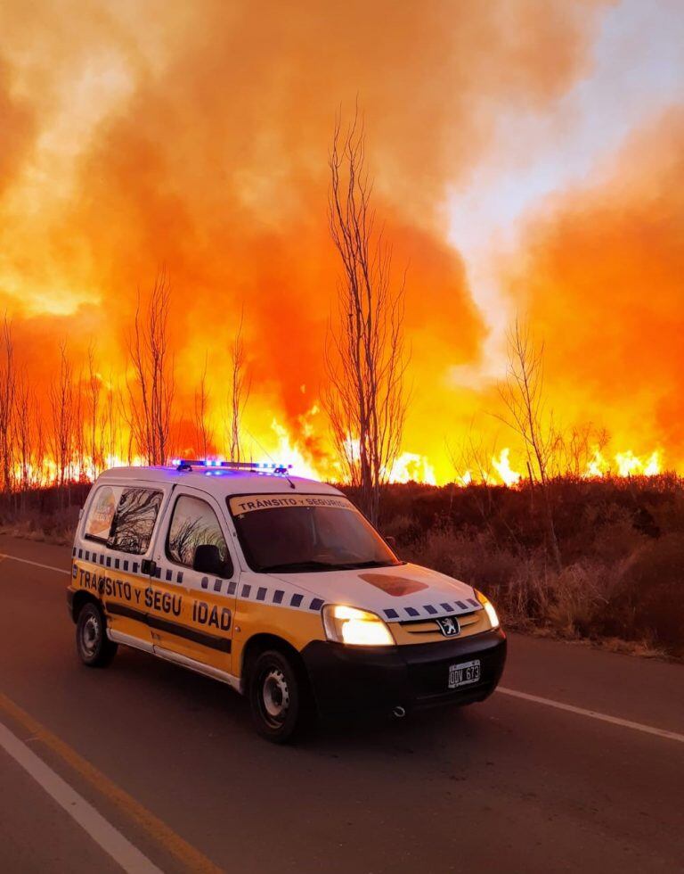 Incendio El Carrizal, Menoza.