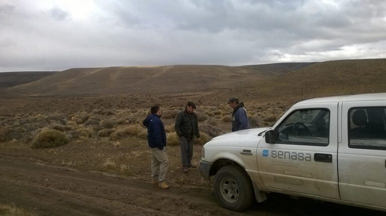 "Muchos productores no nos dejaron ingresar a los campos y en otros casos ocurre que es una superficie muy grande y no tenemos ni personal ni medios para acceder", se lamentó Reguiló en diálogo con Télam.