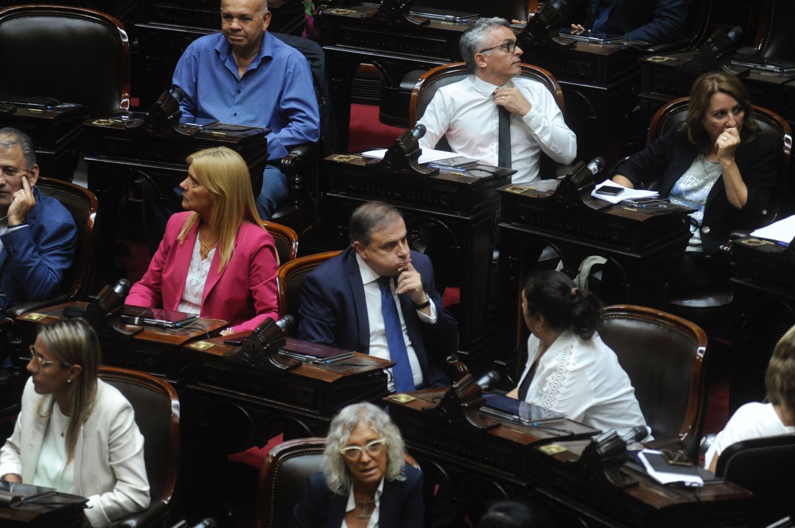 El diputado cordobés Juan Brügge estuvo presente en el recinto. Foto: Federico López Claro