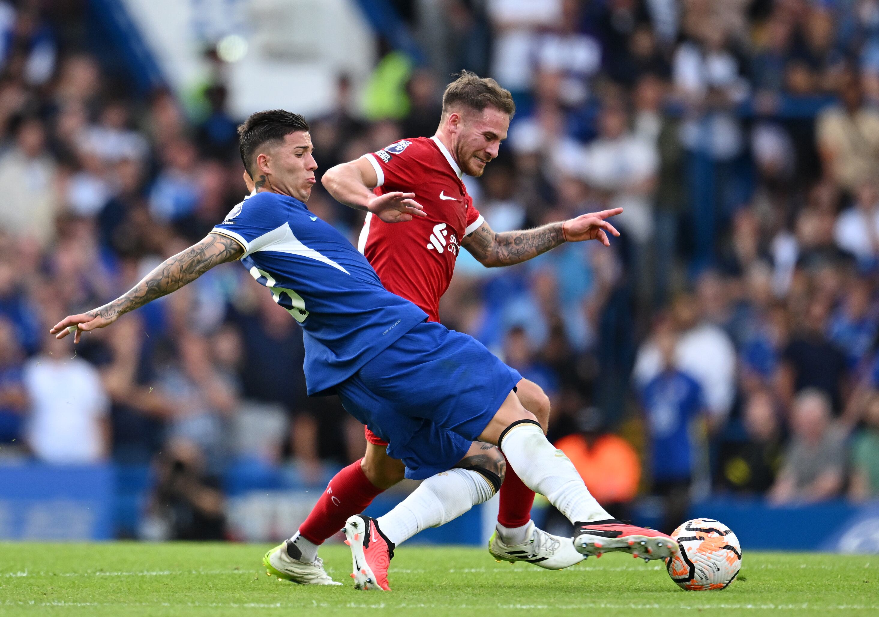 Enzo Fernández y Alexis MacAllister, dos de los exponentes argentinos en la Premier League. 