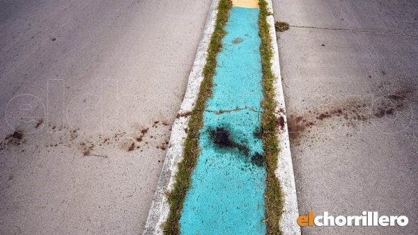 Tras el ataque, la chica cruzó la avenida. Foto: El Chorrillero