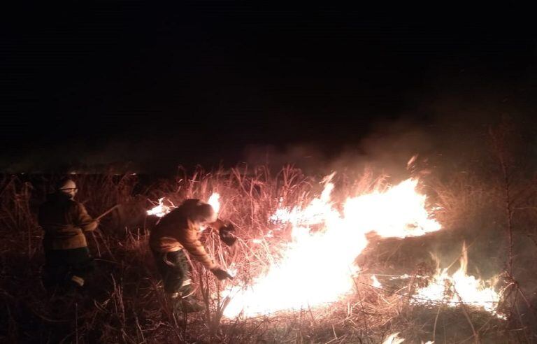 Brigada Forestal de la división Delitos Rurales de la Policía