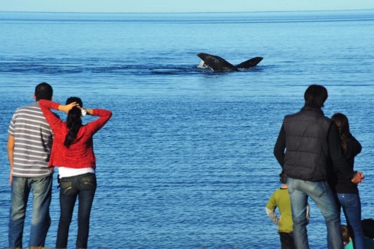 Avistaje desde la costa