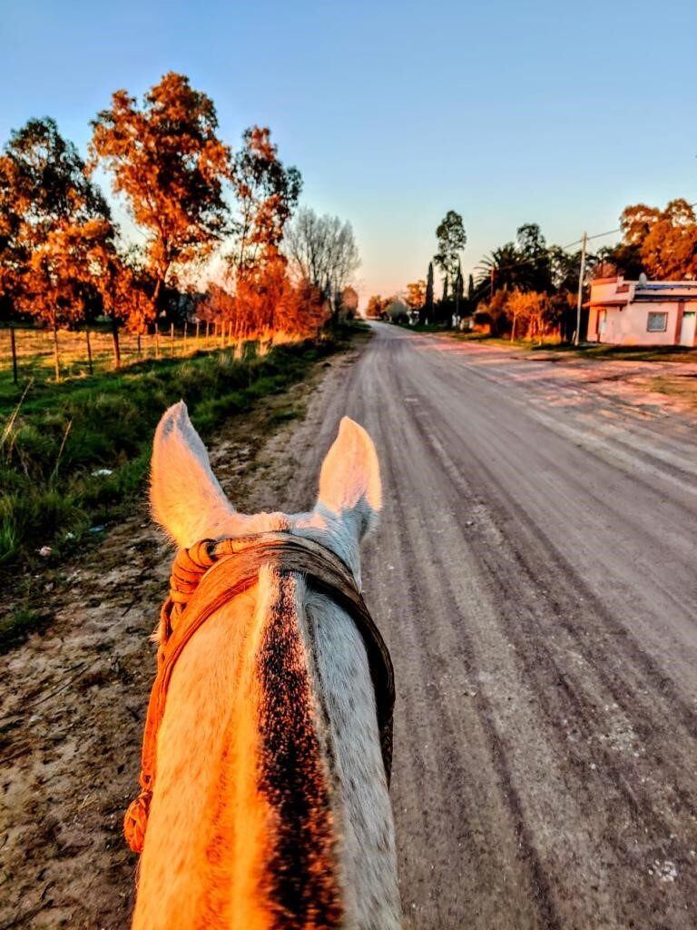 "Por los caminos siempre se siembran semillas buenas de la amistad".