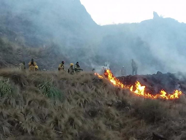 Bomberos de El Trapiche combatiendo el fuego.