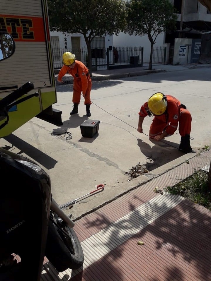 Bomberos Voluntarios de Arroyito salvaron un gatito de un desagüe