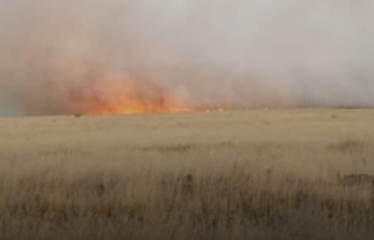 Bahía Blanca: incendio de pastizales en el Quinto Cuerpo del Ejército