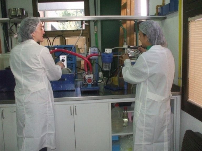 Las chicas fueron premiadas este año con el 2º puesto del Concurso de Innovación organizado por la UNSL. Foto: El Diario de la República.