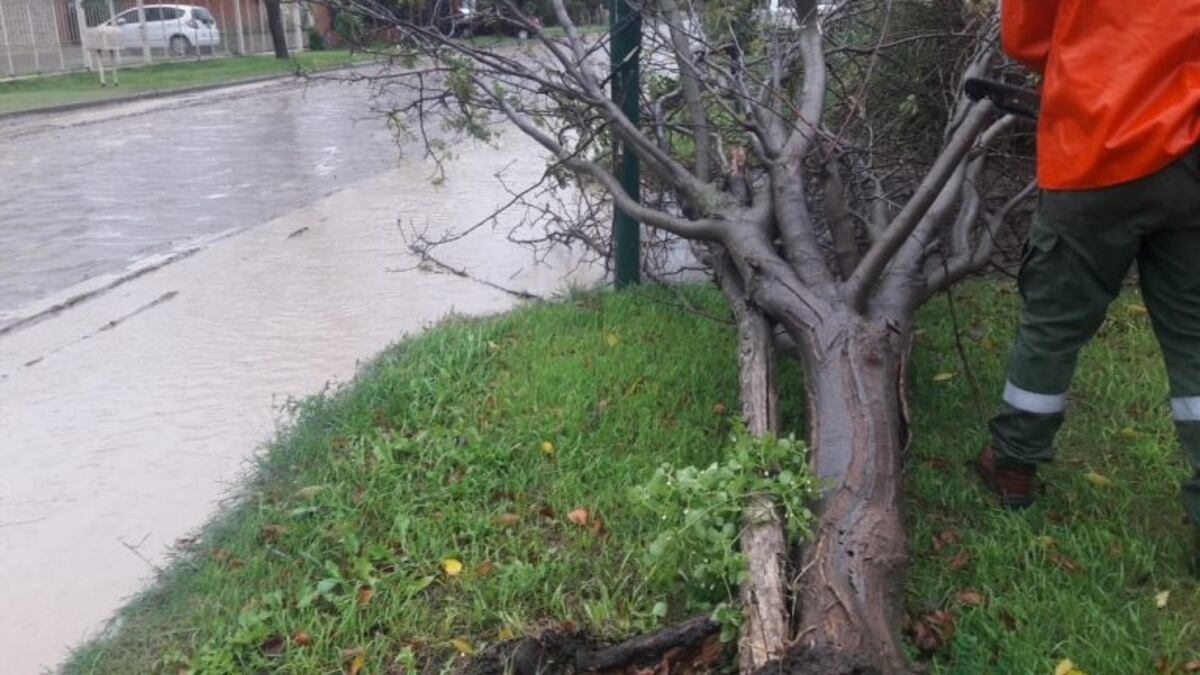 El viento y la lluvia causaron problemas en Bahía Blanca