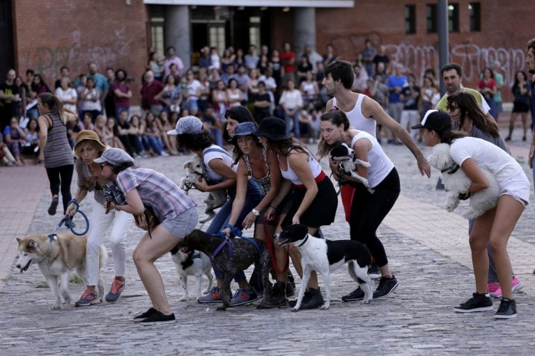 Presentación de "La batalla del Parque España".