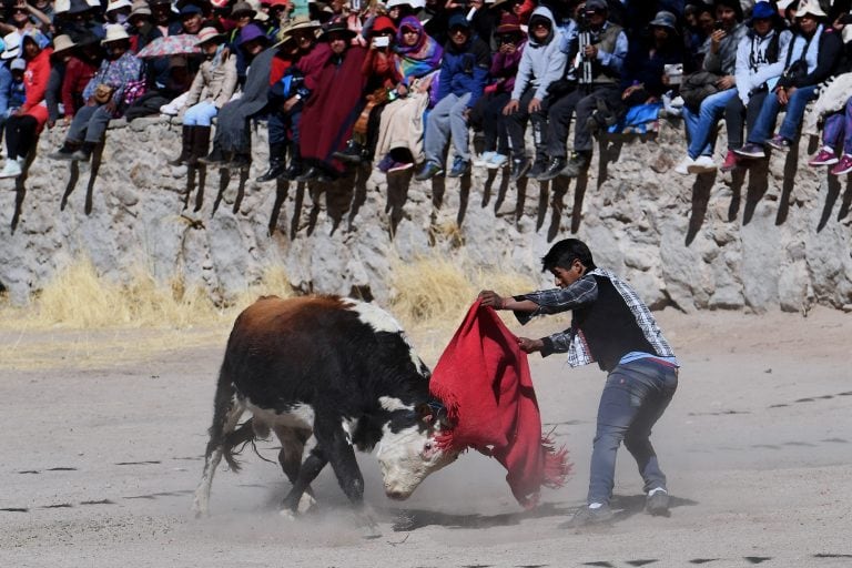 Una verdadera multitud acompaña a la comunidad de Casabindo en la celebración de sus festividades religiosas en honor a la Virgen de la Asunción y en el tradicional "Toreo de la Vincha".