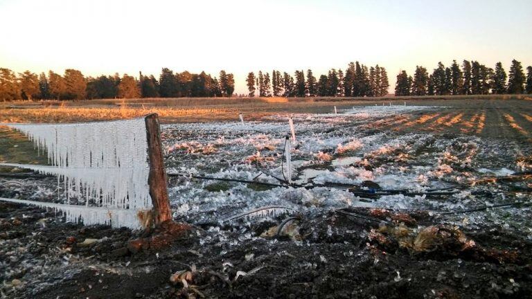 Las fotos de la helada de este martes 24 de junio en Córdoba. (Bianco Gaido, Manfredi)