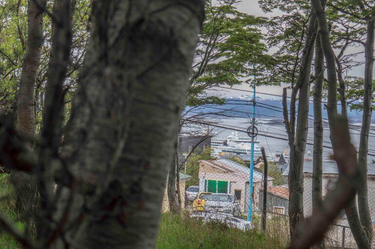 Bosques usurpados Ushuaia