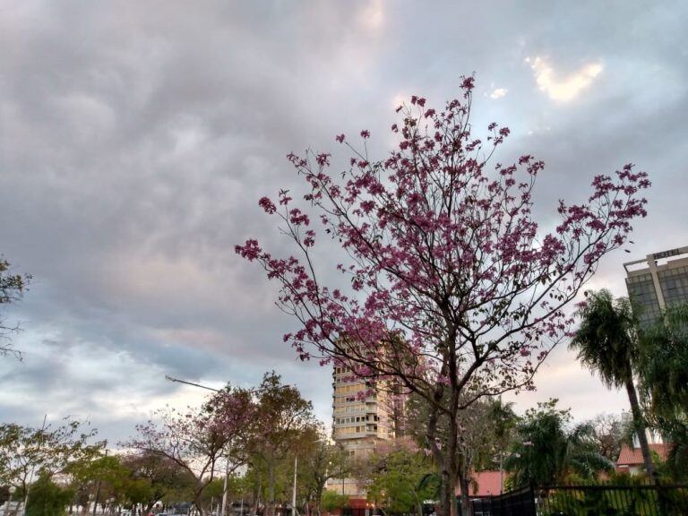 Cielo nublado en la Capital de Corrientes en este martes.