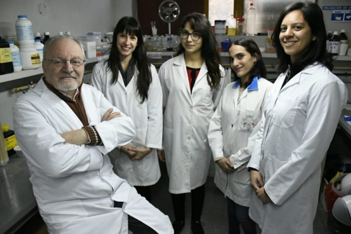 Los investigadores rosarinos que encontraron la forma de producir celulosa sin talar un solo árbol