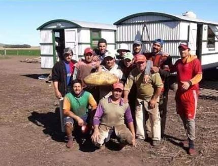 Los peones de una chacra de María Ignacia posan con la papa gigante que acaban de cosechar