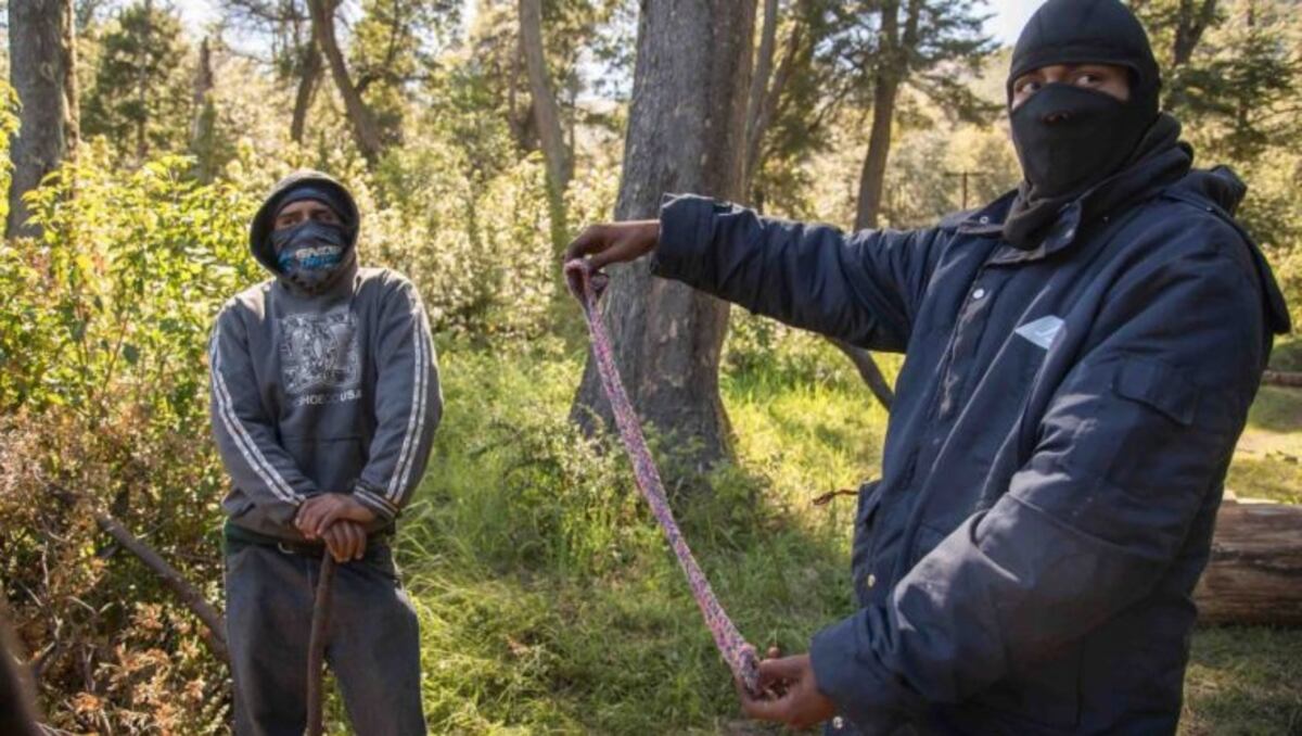 Tensión en Villa Mascardi por ocupación y destrucción mapuche en un loteo