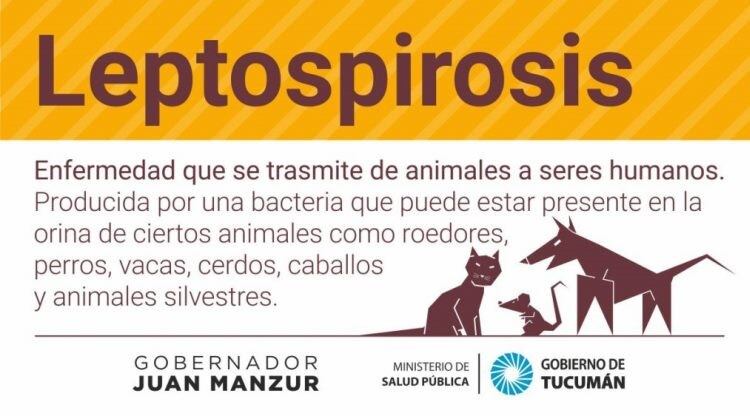 Prevención de Leptospirosis (Ministerio de Salud Pública). (CIMECO)