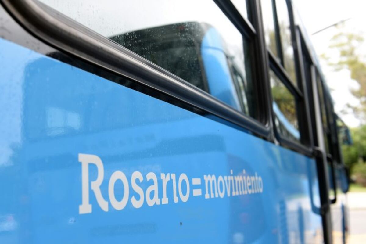 La Municipalidad anunció la renovación de la totalidad de la línea 143