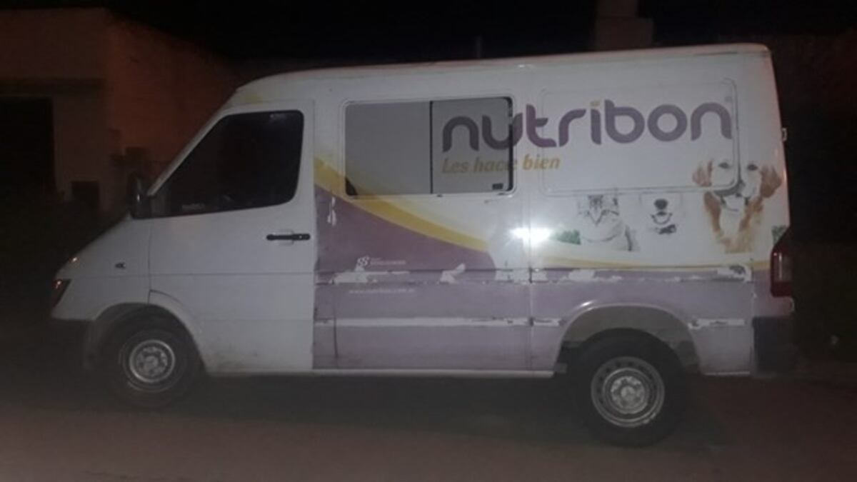 Bahía: un menor robó diez bolsas de alimento para gatos y lo atraparon
