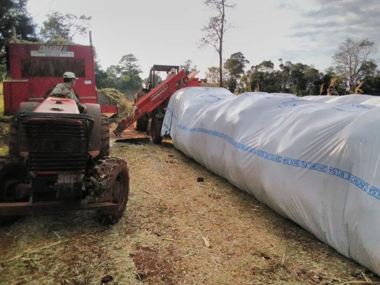 Andresito: el ciclo de la producción se agrandó con el engorde a corral y se invirtió en silos bolsa para almacenar pasto que se usará en invierno. (Miguel Angel Garcete)