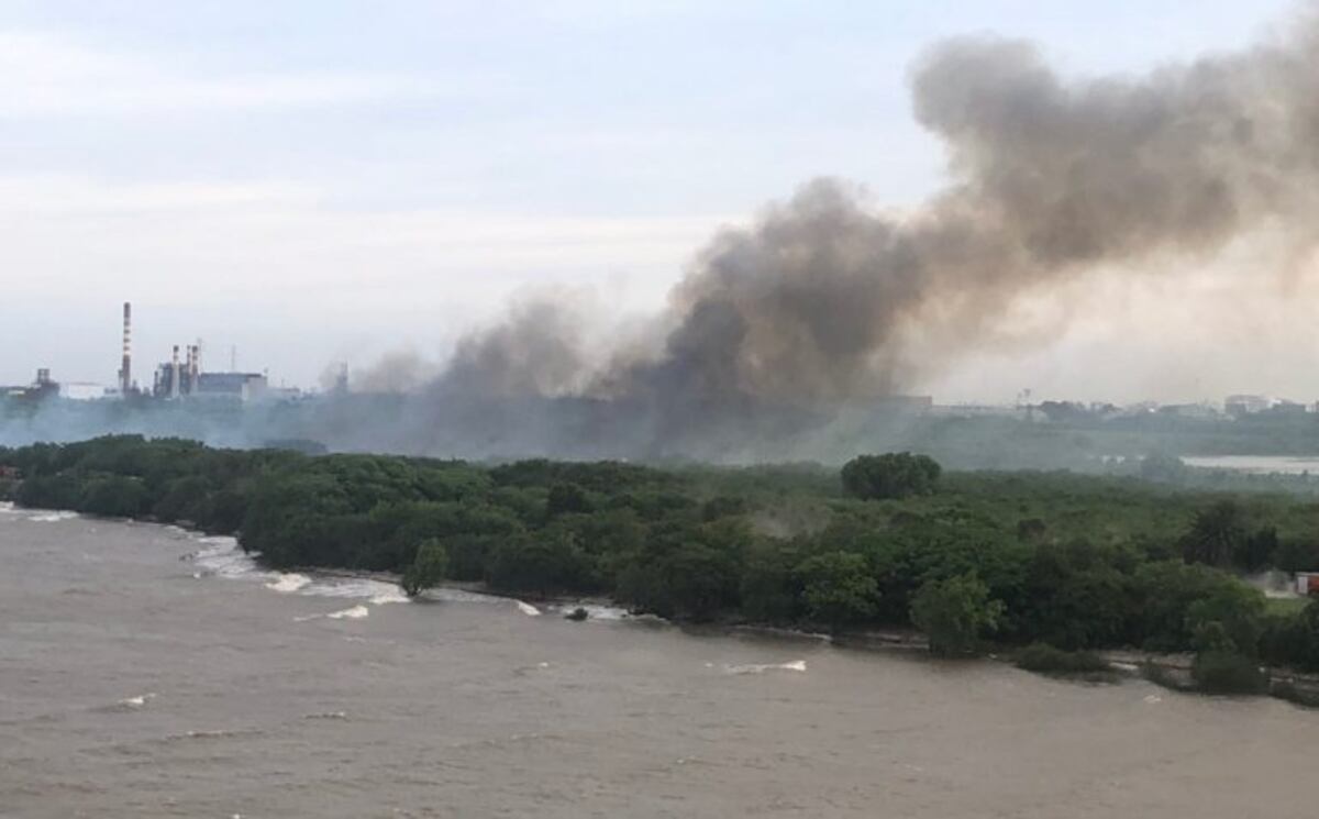 Lograron controlar el incendio en la Reserva Ecológica de la Costanera Sur