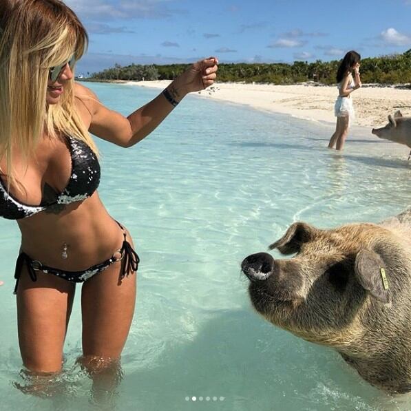 Las fotos bizarras de Claudia Ciardone en la playa rodeada de chanchos. (Foto: Instagram)