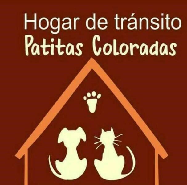 Hogar de ayuda a animales abandonados en Oberá. (Patitas Coloradas)