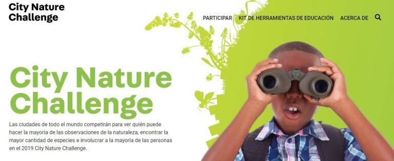 City Nature Challenge 2019