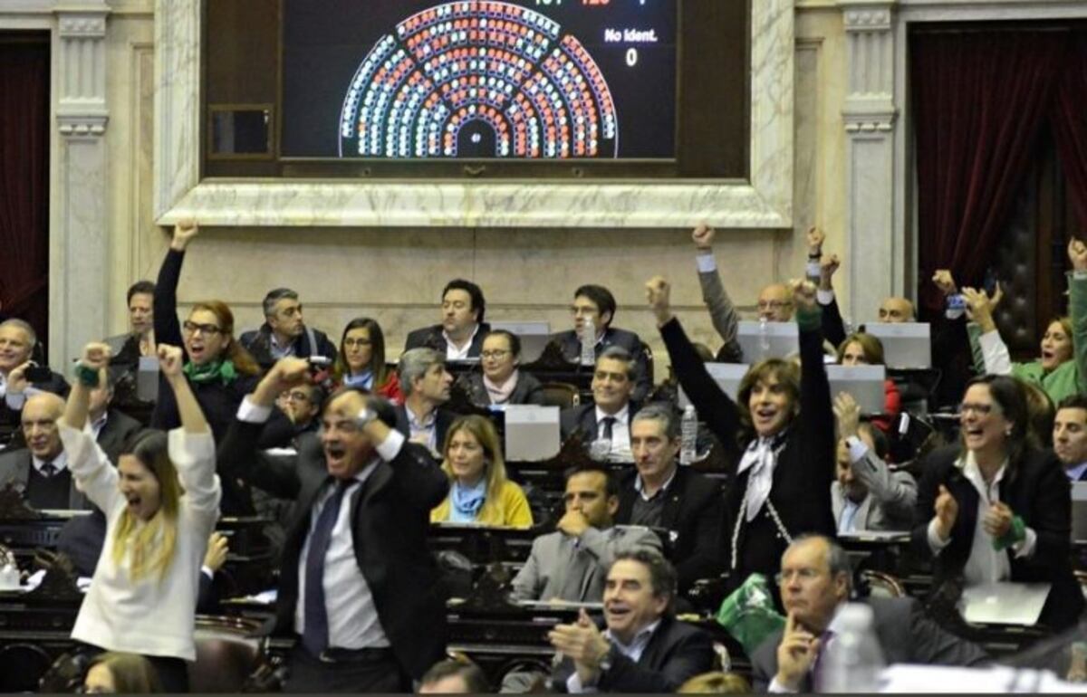 Legalizacíon del aborto: el voto de los diputados y de los bloques