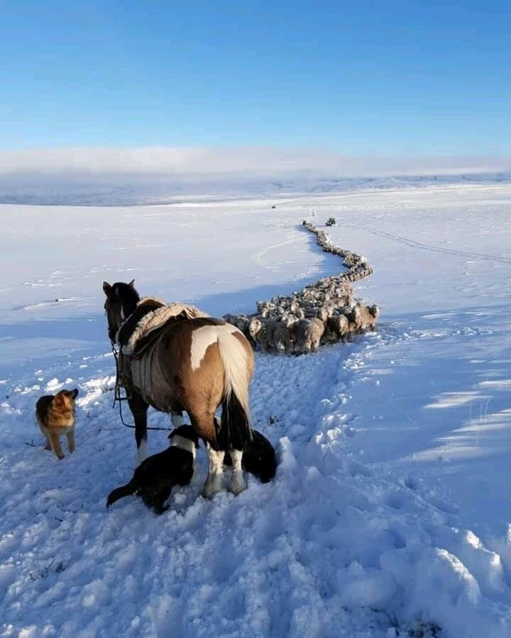 Cushamen invierno 2020.