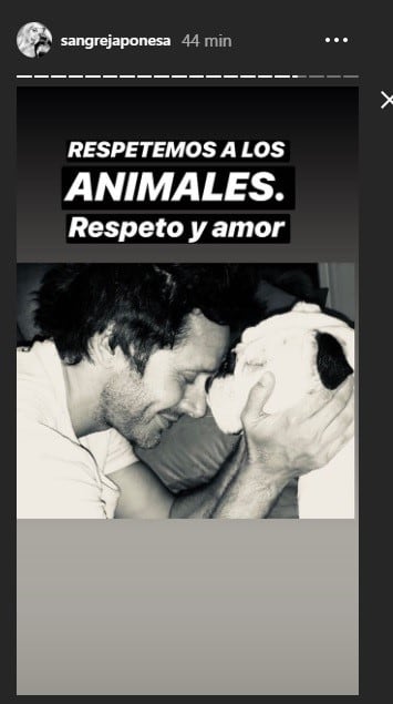 Día del animal: los famosos saludaron a sus mascotas y pidieron por sus derechos