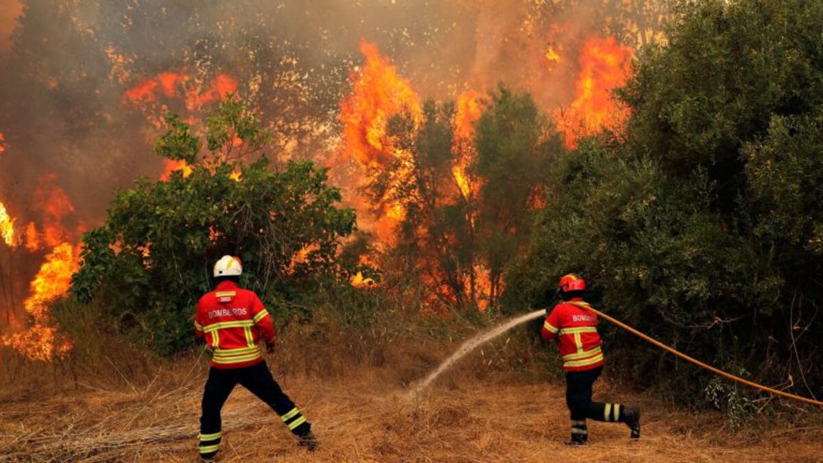 Alerta por vientos fuertes e incendios esta madrugada en Carlos Paz