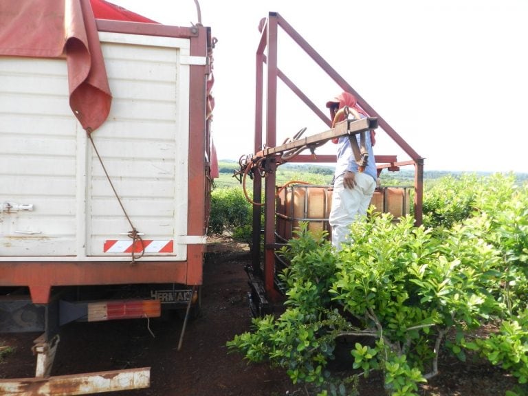 Desde Ecología de Misiones prohibieron el ingreso de desechos avícolas a la provincia y su utilización como fertilizante sin tratamiento previo.