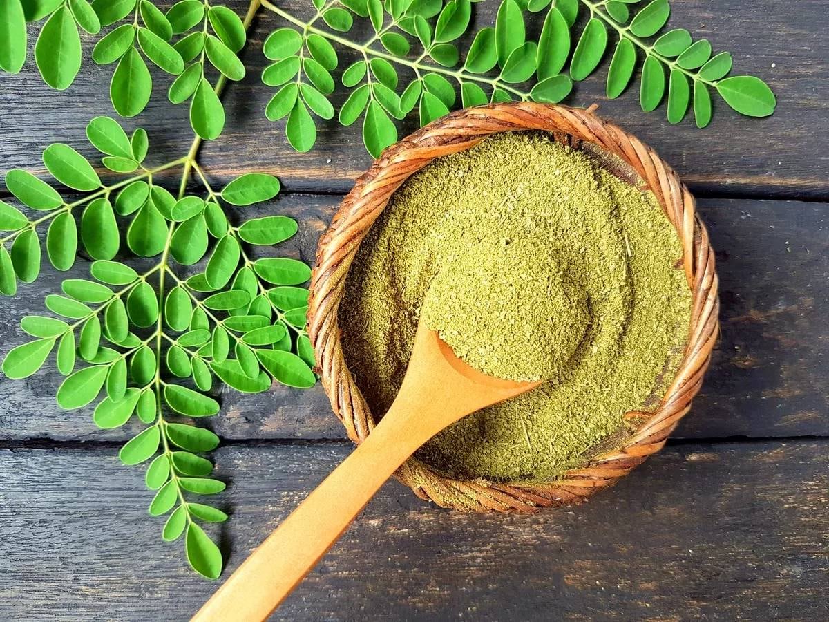 La moringa tiene muchos beneficios para la salud, pero se recomienda siempre no consumirla en exceso.