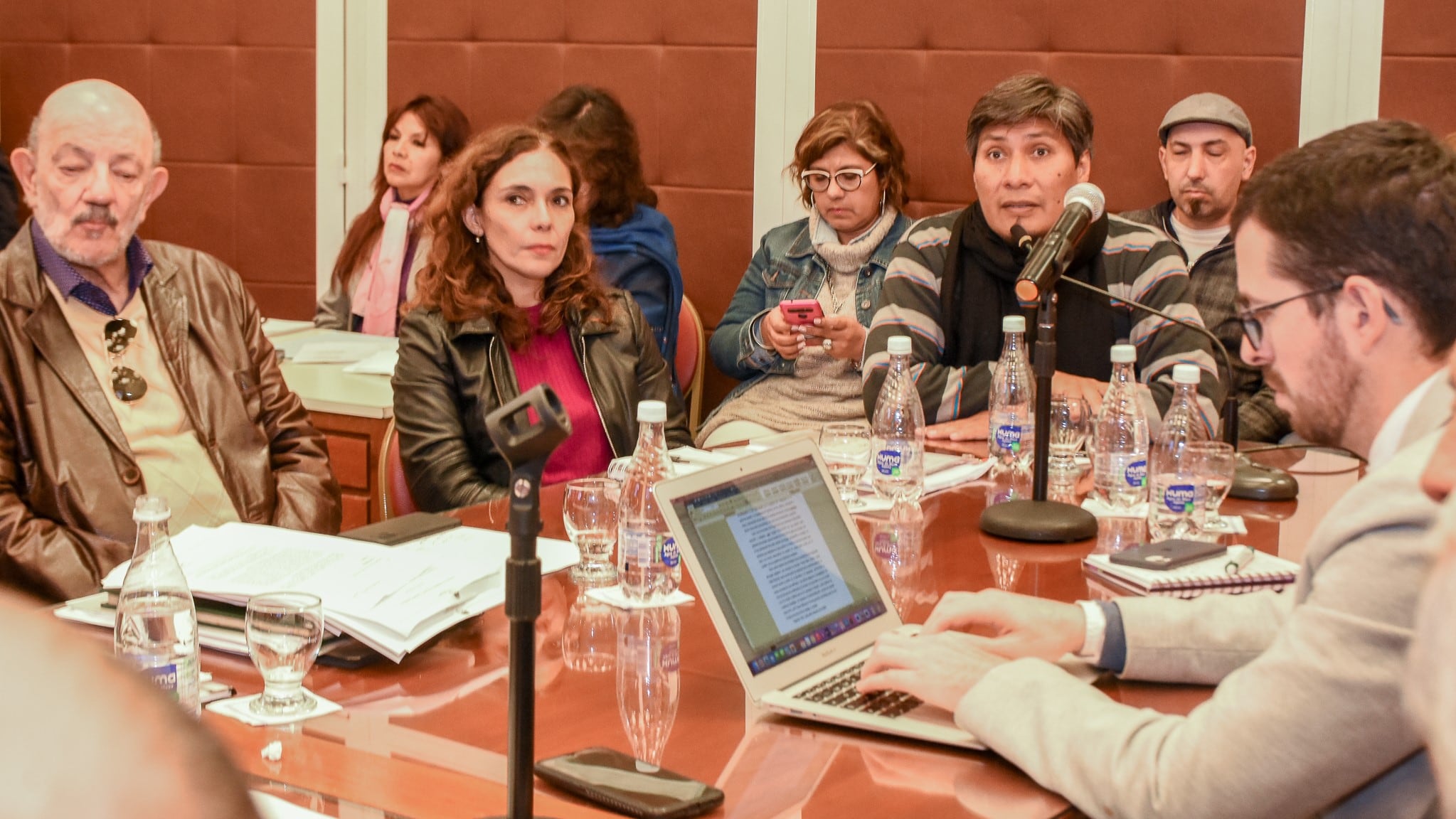 Los convencionales Alberto Matuk, Noemí Isasmendi y Alejandro Vilca, en la reunión virtual con la doctora María Angélica Gelli.