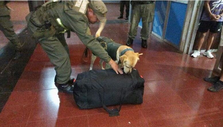 Incautan en Posadas un cargamento de marihuana en la Terminal de Ómnibus.