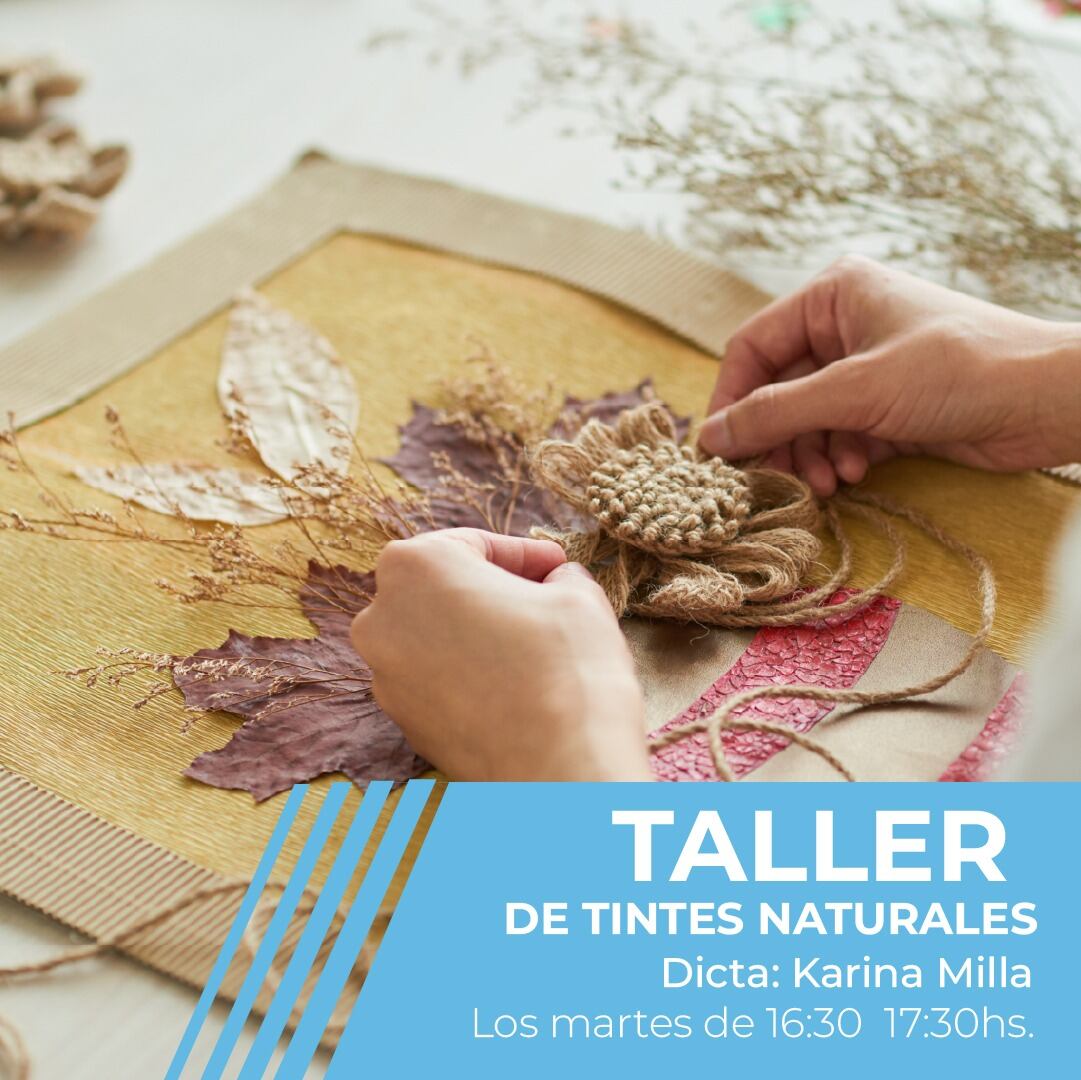 Taller de tintes naturales