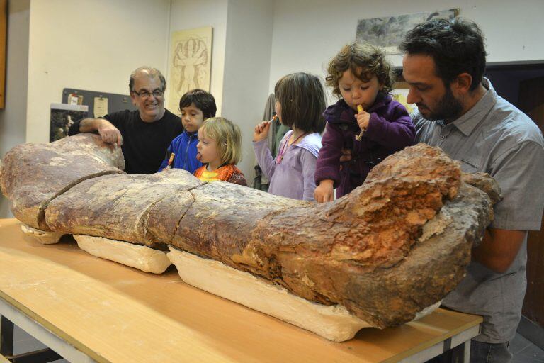 Desde el museo Egidio Ferugliose dio a conocer la información