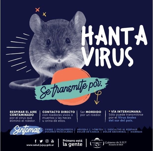 El área sanitaria provincial difundió esta imagen ilustrativa sobre prevención del hantavirus.