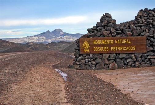 bosque petrificado