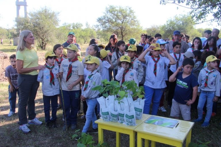 Plantación de árboles en Jesús María (Prensa Municipalidad Jesús María)