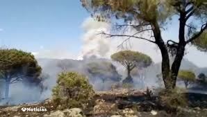 El Hoyo - Incendio Forestal