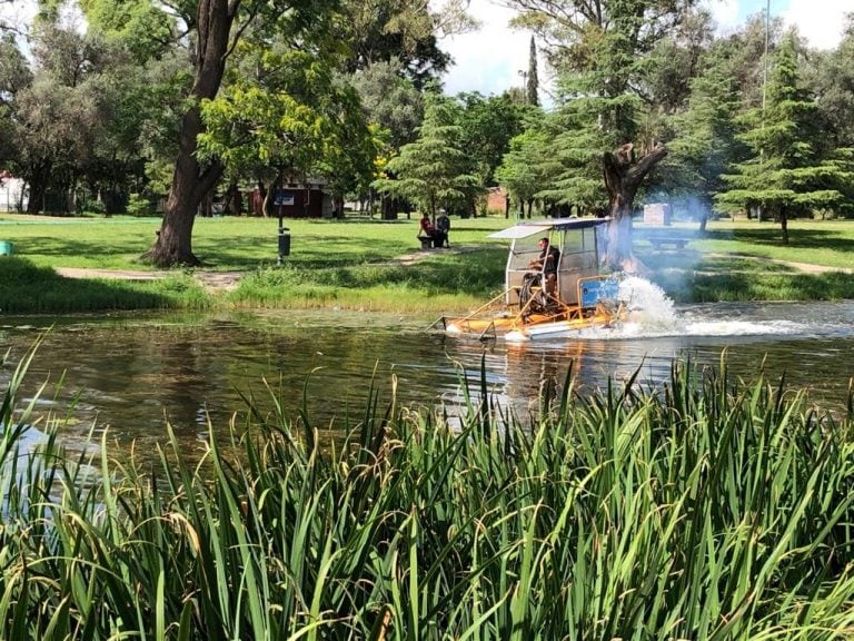 La Municipalidad comenzó a trabajar con las algas del lago del Parque Sarmiento. (Municipalidad de Córdoba)