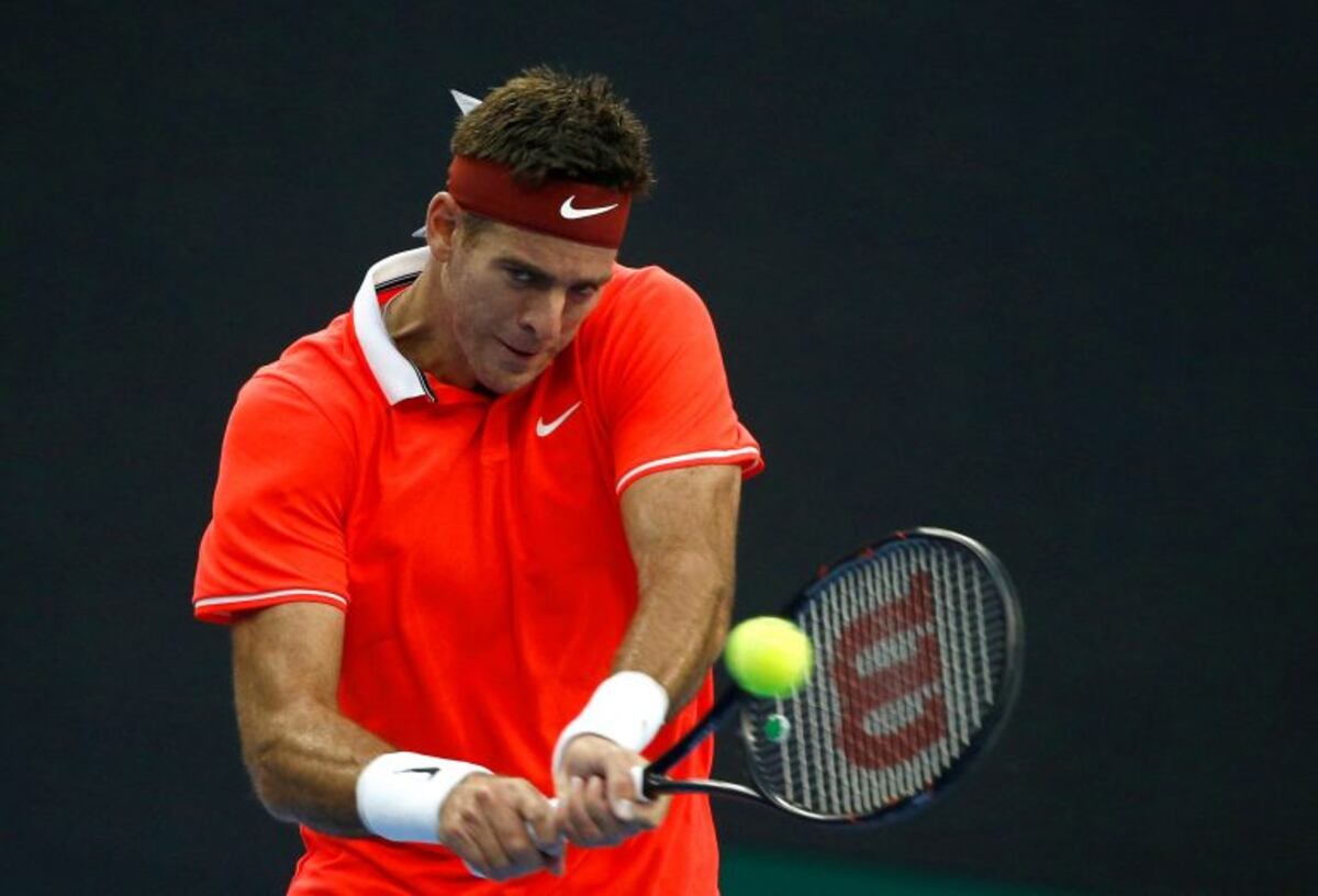 Del Potro debutó con un sólido triunfo en el ATP 500 de Pekín ante el español Albert Ramos