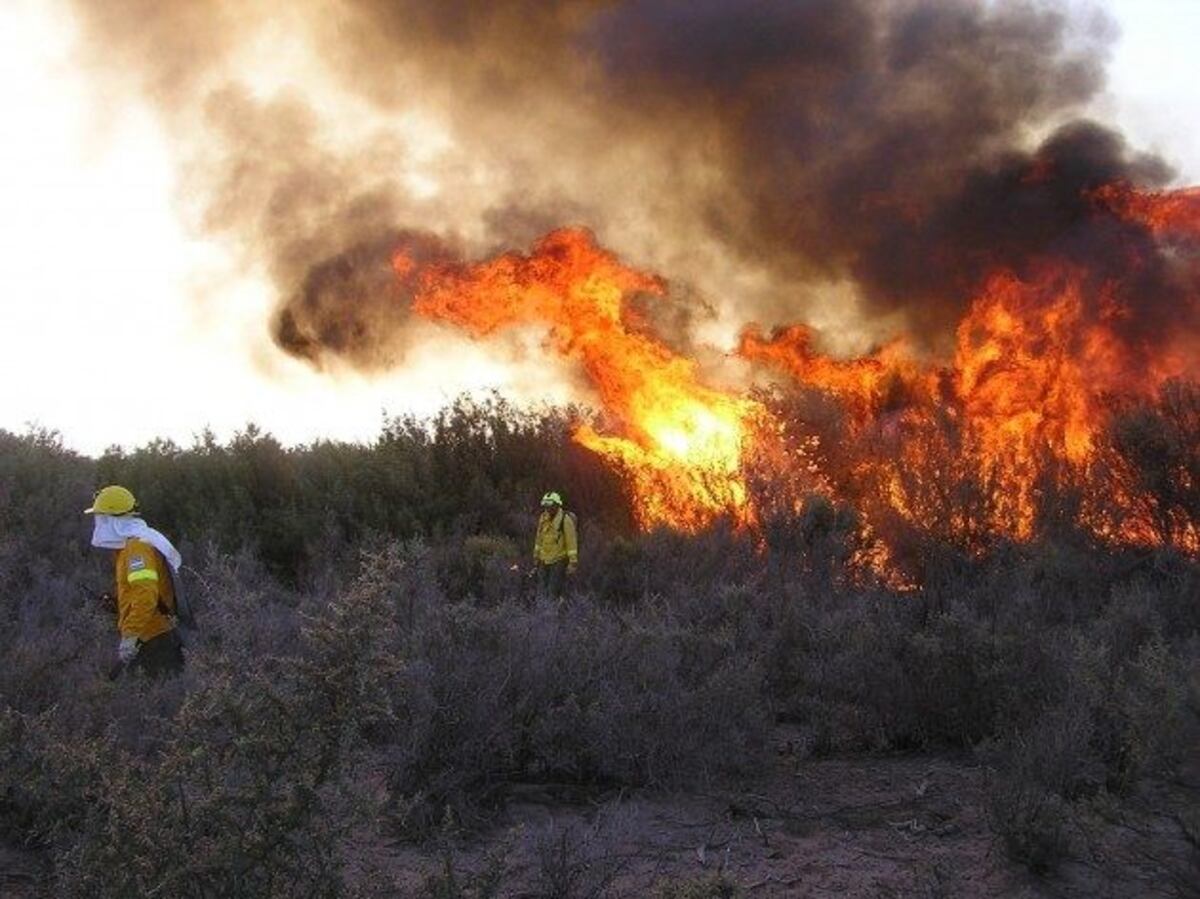 Piden que se tomen las medidas necesarias para evitar incendios forestales