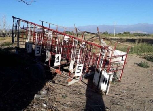 Los efectivos secuestraron en el lugar 11 galgos, cuatro gateras, dos caniles, un mecanismo de liebre artificial, un maletín con un cronómetro, un bozal y un ungüento para perros.