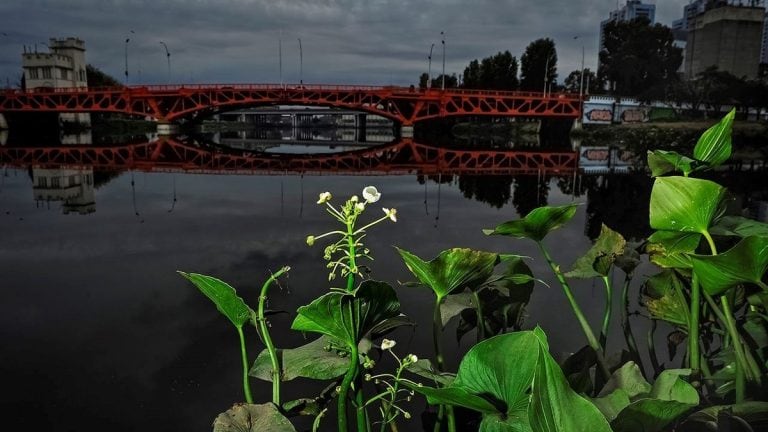 Riachuelo, uno de los ríos más contaminados de la Argentina. (Foto: Rubén Digilio)